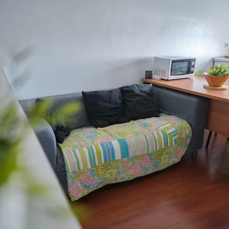 Centrico Y Luminoso Estudio En Cruz 公寓 圣克鲁斯-德特内里费